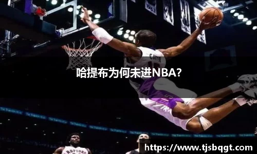 哈提布为何未进NBA？